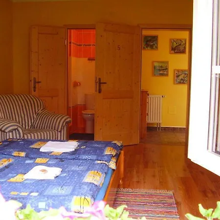 Olga בית הארחה Mariánské Lázně