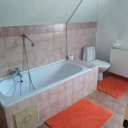 Olga 3* Mariánské Lázně