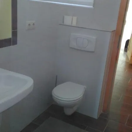 Olga Guest house *