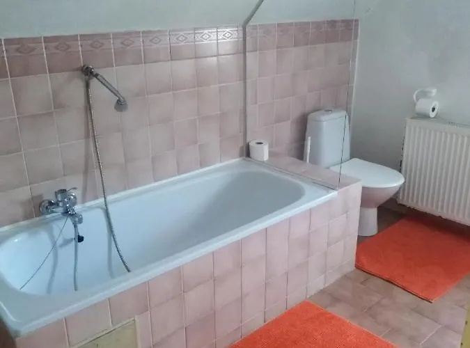 Olga 3* Mariánské Lázně
